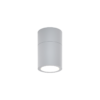 it-Lighting Chelan 1xGU10 Outdoor Ceiling Down Light Grey D:10.3cmx6cm (80300134)