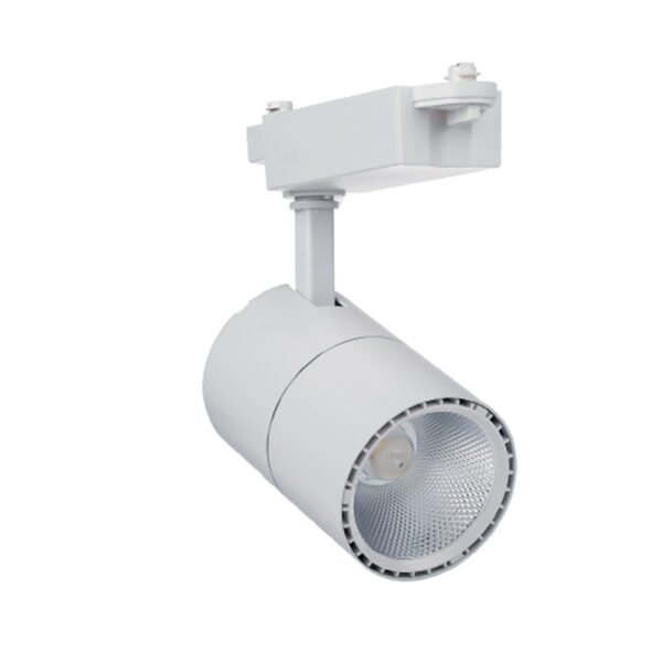 InLight Σποτ Ράγας Λευκό LED 30W 4000K D:9