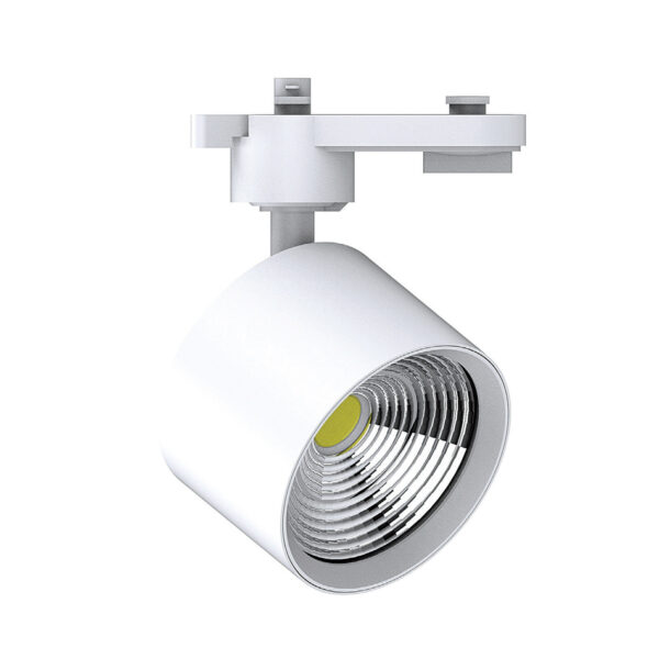 InLight Σποτ Ράγας Λευκό LED 10W 4000K D:5