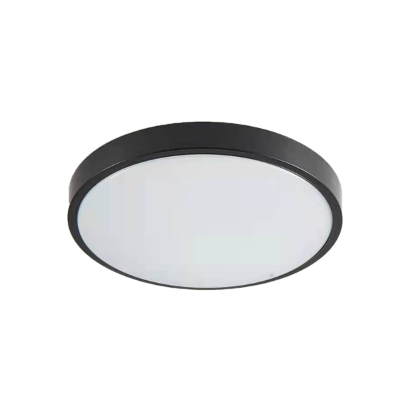 it-Lighting Torch LED 18W 3CCT Outdoor Ceiling Light Anthracite D:28cmx5