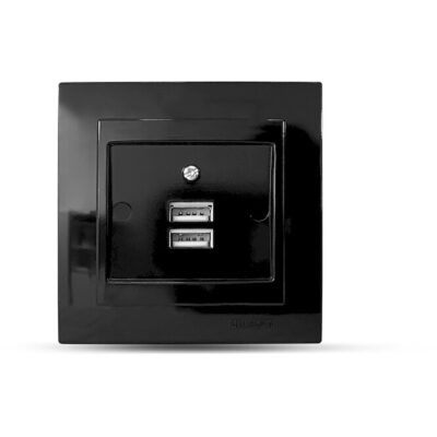 24221081 Μαύρη πρίζα USB διπλή GEYER
