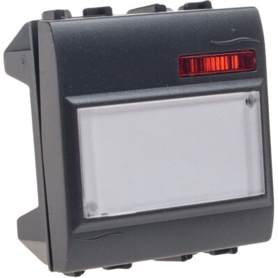 7796.230 Μπουτόν επιγραφής με λυχνία 220V γραφίτης GEYER