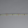 ΤΑΙΝΙΑ LED 5M 12W 24V 6500Κ 128L/M IP20 PRO