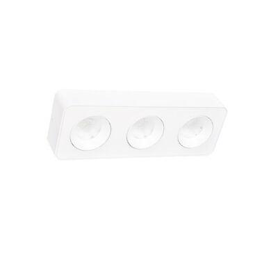Inlight Downlight Mounted σποτ 3*8W 3CCT σε λευκή απόχρωση (X00280W)