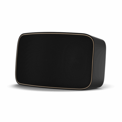 Dali Gardian OW 6 Black